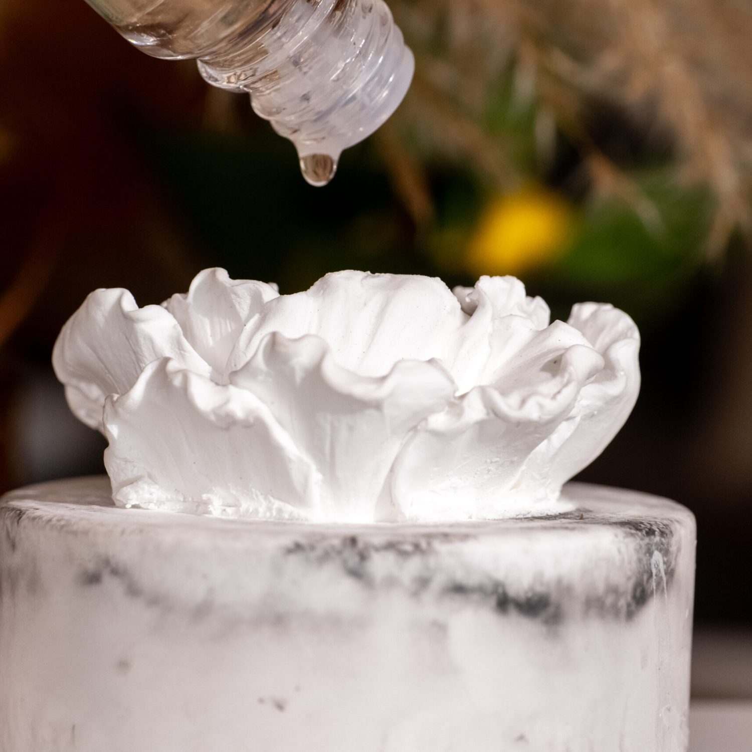 Aromellehome_Shoot2_photo-3