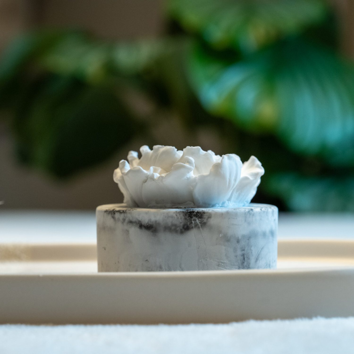 Aromellehome_Shoot2_photo-51